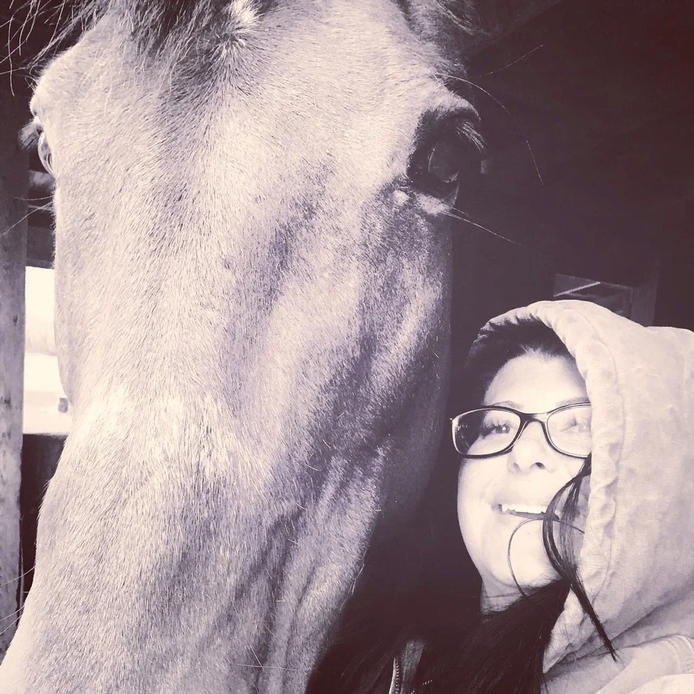 🐎Unlisted🐾 items - Picture 1 of 5